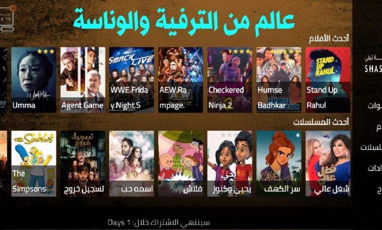 تجديد اشتراك شاشة تيفي [shasha iptv 4k] الكويت